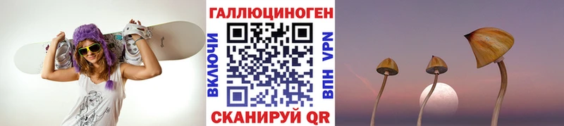 Галлюциногенные грибы Magic Shrooms  где купить наркоту  Каргат 